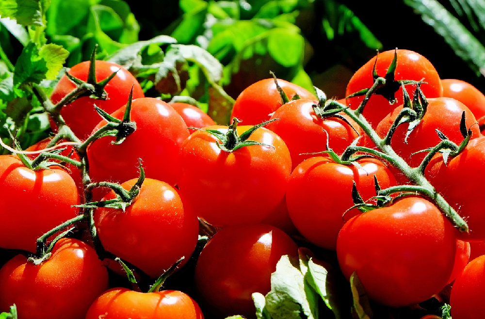 Suszone pomidory – smak lata przez cały rok. Dlaczego warto je jeść?